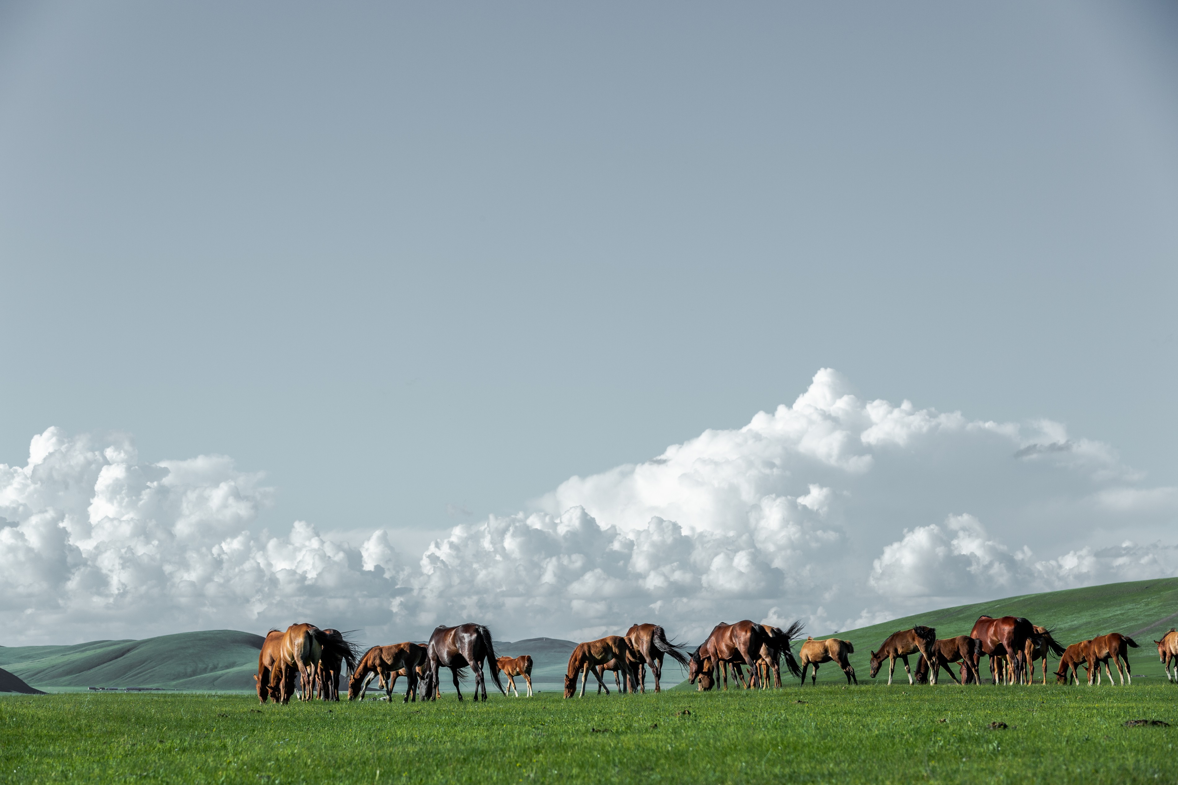 母親湖畔黨旗飄——額鹽公司組織開展“慶七一”重溫入黨誓詞活動